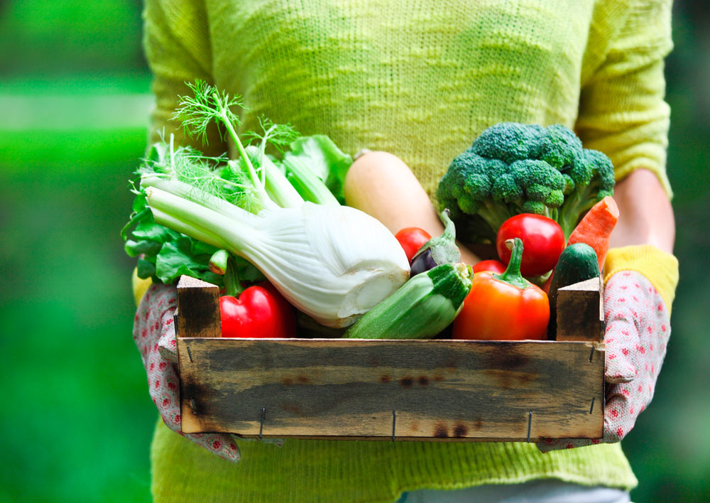 10 Simpele en Smakelijke Tips om meer groente te eten