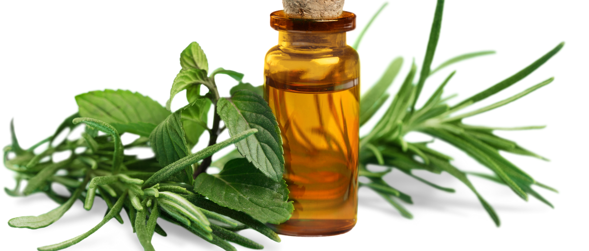 Aromatherapie en Essentiële Oliën herstellen het natuurlijke evenwicht