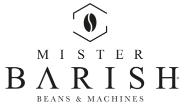 Mister Barish logo