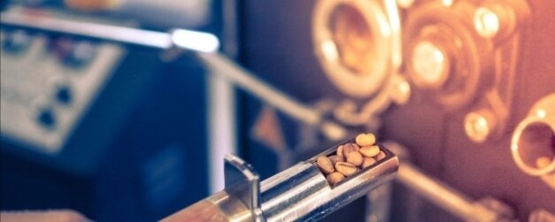 Grains de café torréfiés