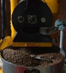 Grains de café torréfiés et refroidis