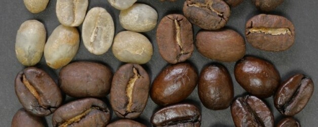 Processus de torréfaction des grains de café