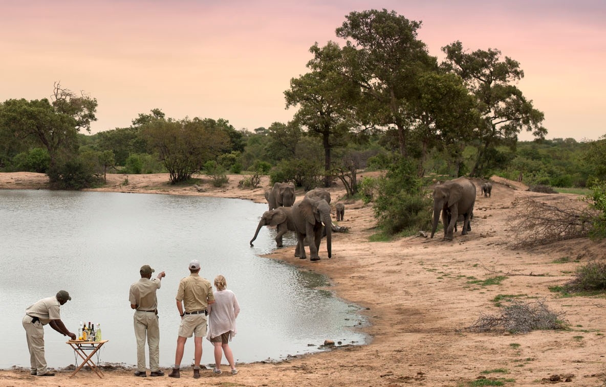 Top 5 Safari Lodges in Zuid-Afrika 2019-2020