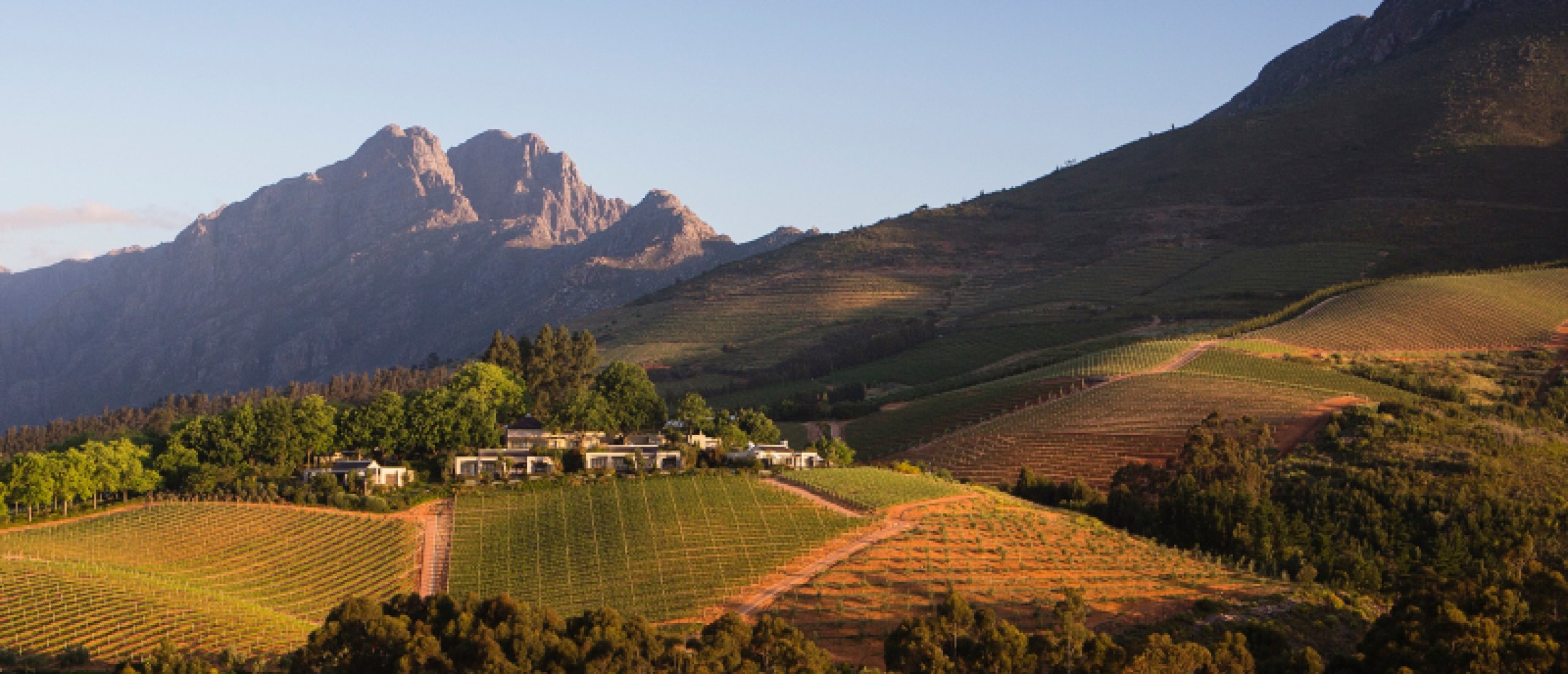 Delaire Wine Estate - Wijnproeven met het mooiste uitzicht