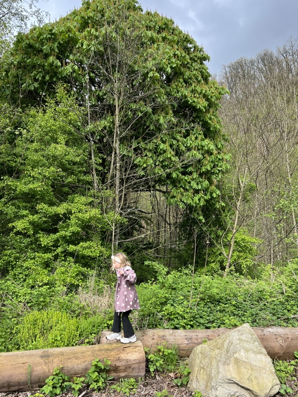 Overnachting in natuur Belgie weekend weg Nutchel met kinderen