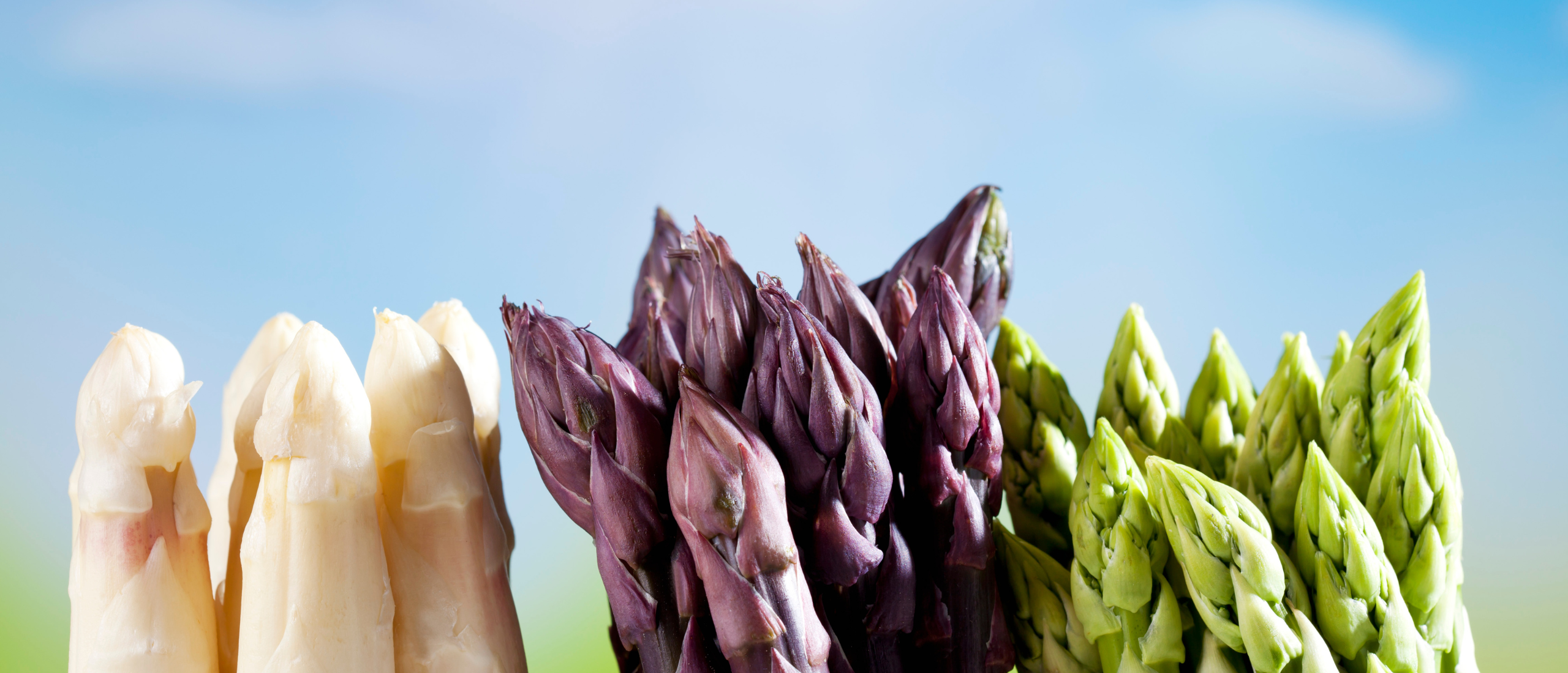 Groene, witte of paarse asperges: wat zijn de verschillen?