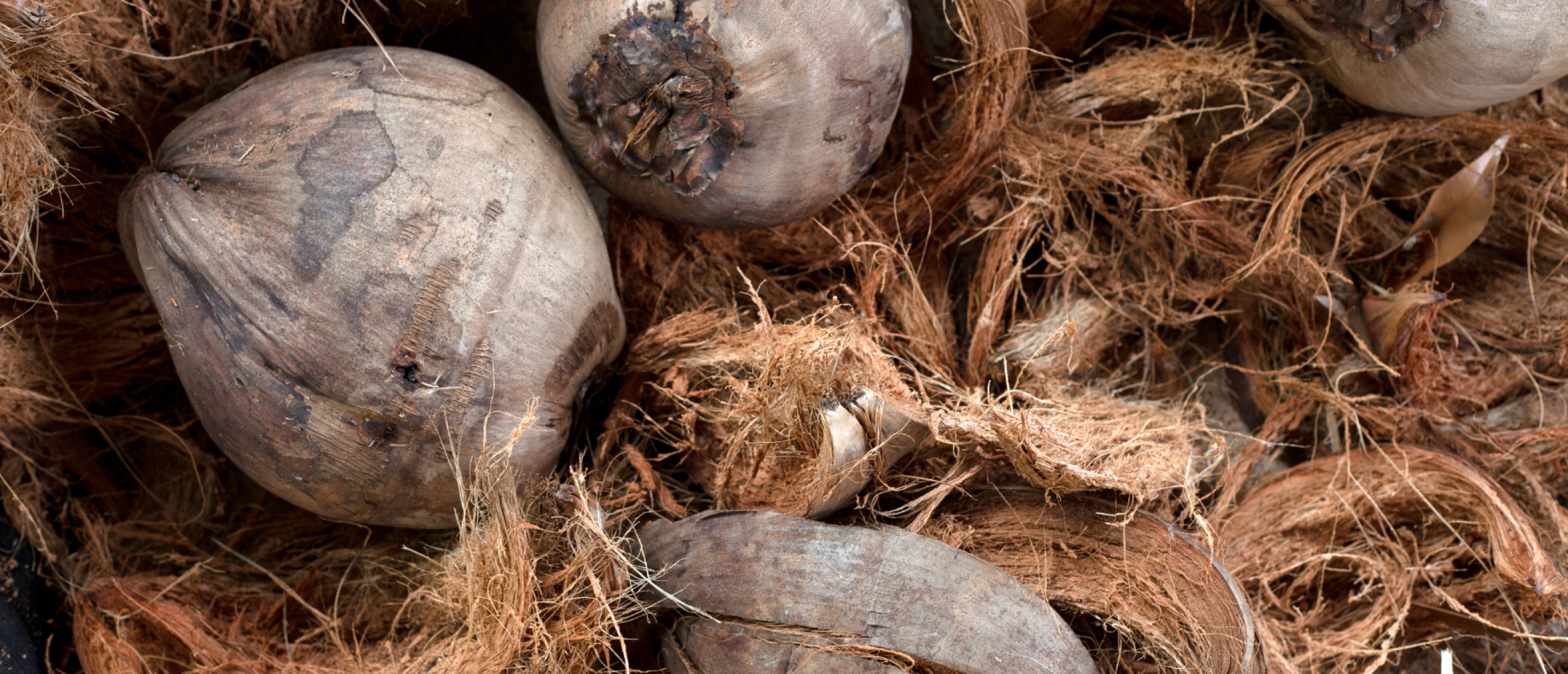 Is kokosvezel duurzamer dan turf?