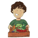 Ruud - Moestuin Advies