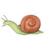 Moestuin Advies