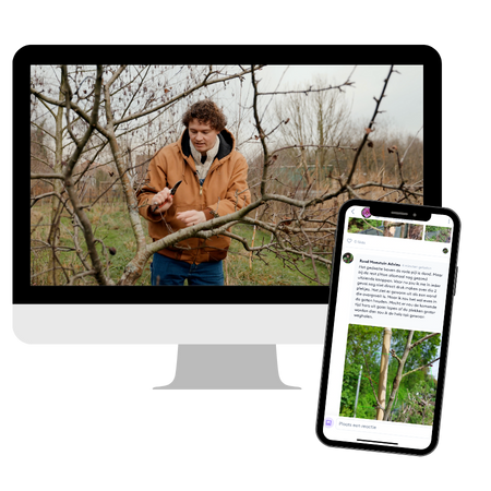 Mock-up cursus snoeien - Moestuin Advies