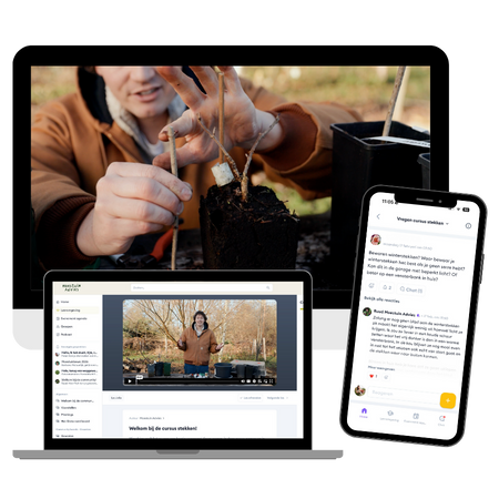 Mock-up cursus stekken