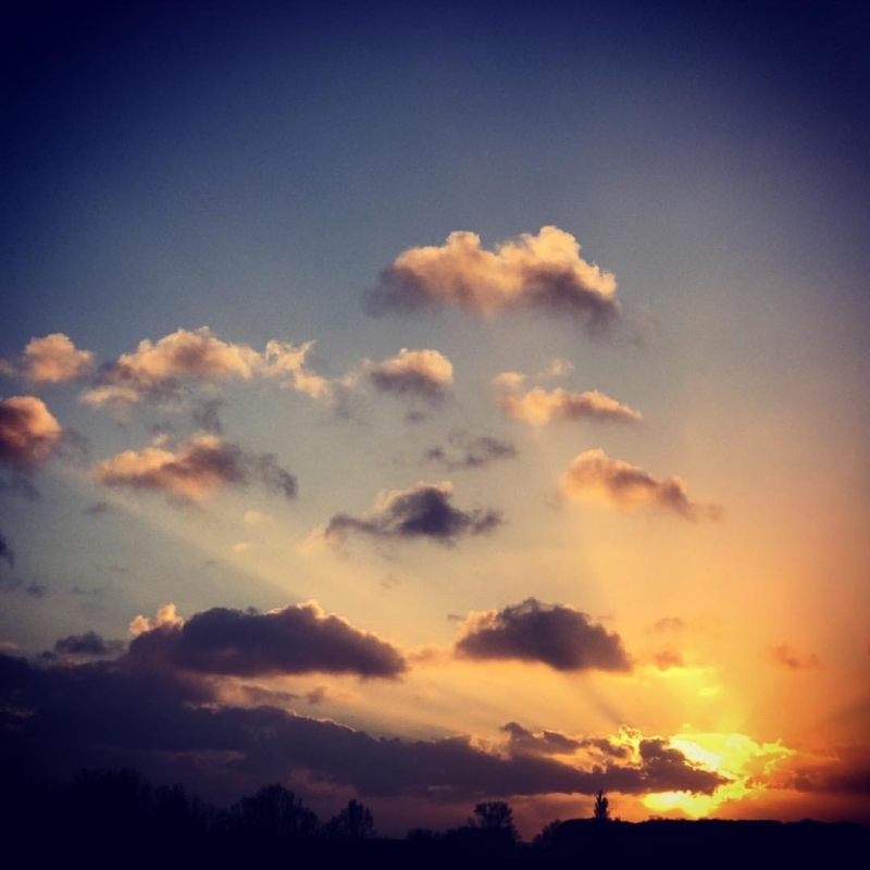 aap moon online sessie