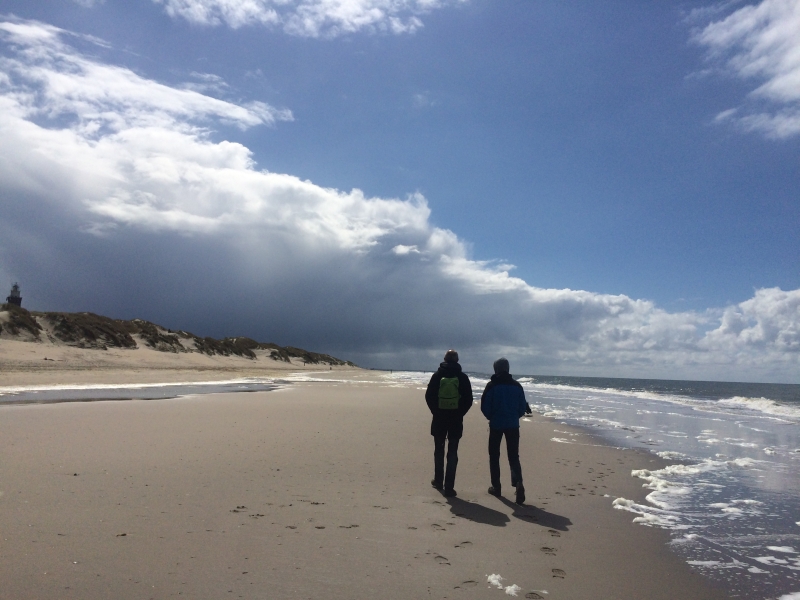 strand moon irjam veltman