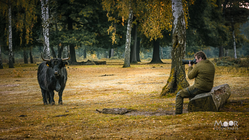 10 Fotografieblunders die je direct kunt oplossen