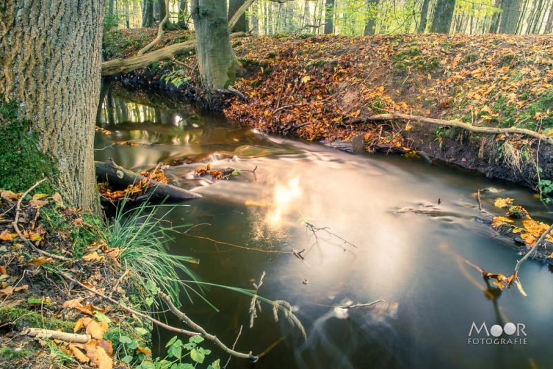 5 onmisbare fotografie lessen die je handleiding je niet vertelt