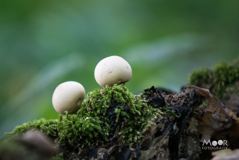 5 onmisbare fotografie lessen die je handleiding je niet vertelt