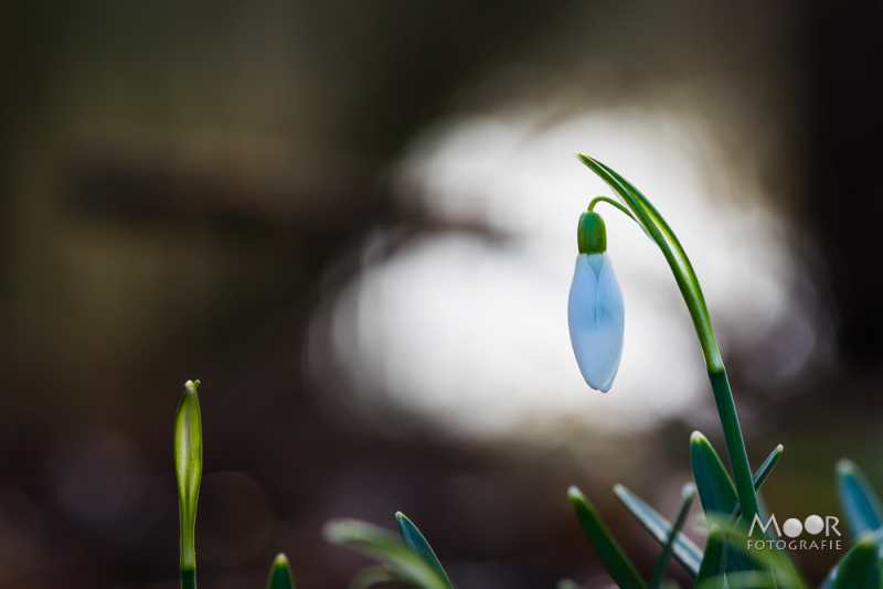 5 onmisbare fotografie lessen die je handleiding je niet vertelt