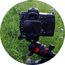 Veldopstelling met spiegelreflexcamera op laag statief tussen het gras – ideaal voor stabiele macro-opnames van bloemen en insecten.
