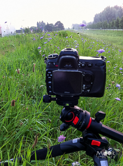 beginnen met macrofotografie