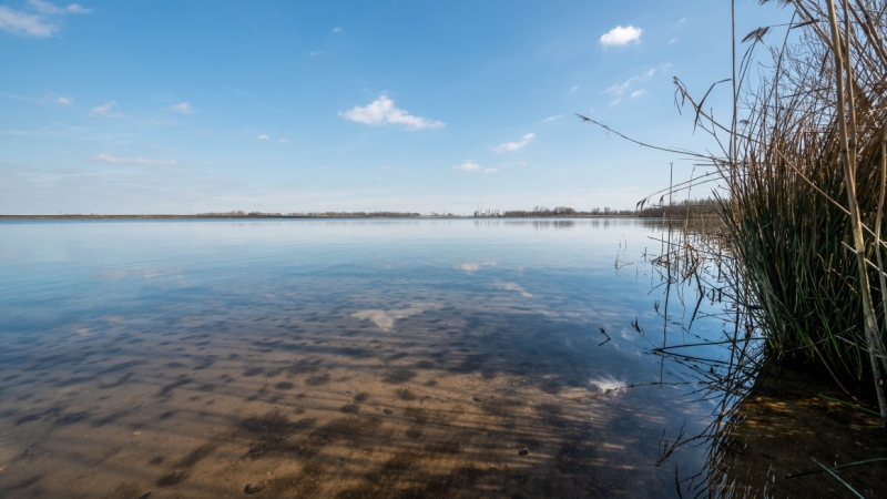 Het belang van een goede voorgrond Het belang van een goede voorgrond