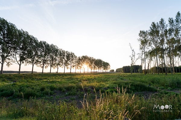 Belichtingsproblemen oplossen in Lightroom