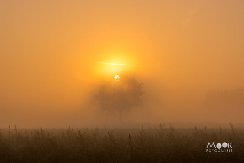 Betere foto's zonder ingewikkeld te doen