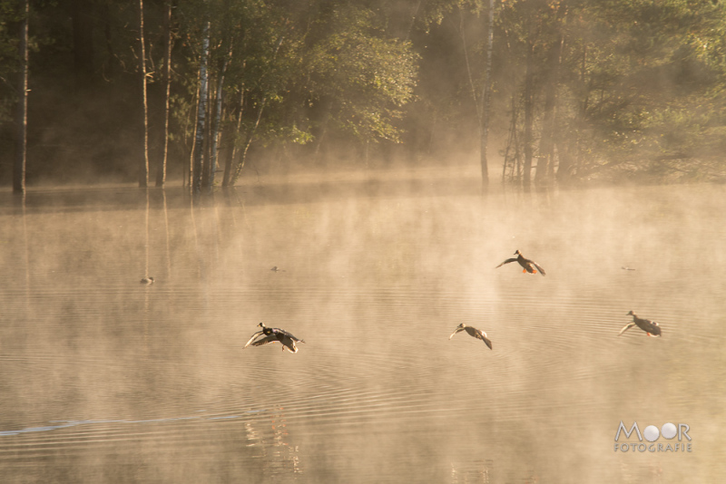 Betere foto's zonder ingewikkeld te doen