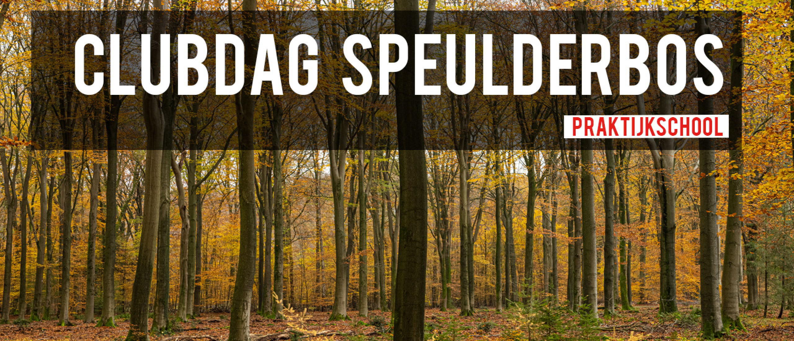 Clubdag herfst 2024 Speulderbos