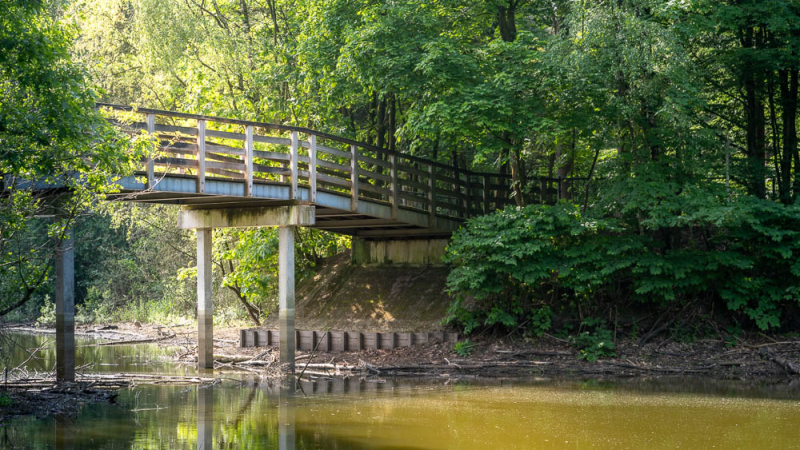 Houten wandelbrug tussen groene bomen, met daaronder een rustige waterpartij.