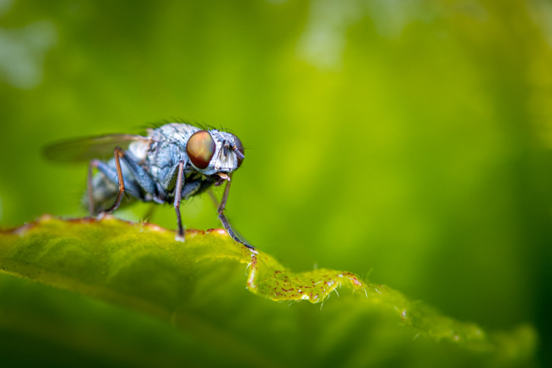 5 Compositietips die zorgen voor een betere foto