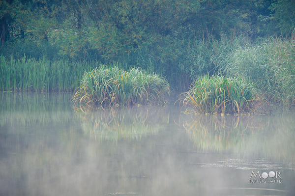 Compositieregels voor betere foto's: hoe je als fotograaf kunt groeien