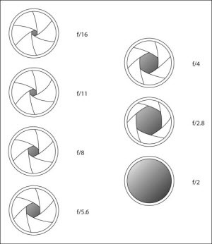 diafragma f-getal reeks scherptediepte belichting belichtingsdriehoek