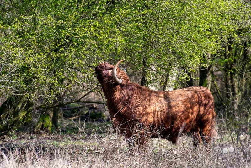 Gebruik Direct Zonlicht Voor Een Betere Foto