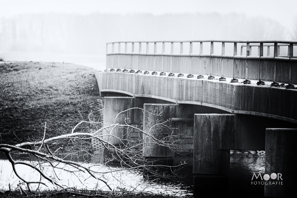 Favoriete foto van februari 2016