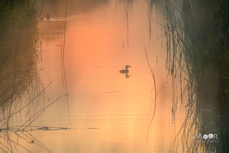 Fotograferen in het Gouden Uur