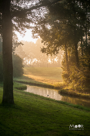 Fotograferen in het Gouden Uur