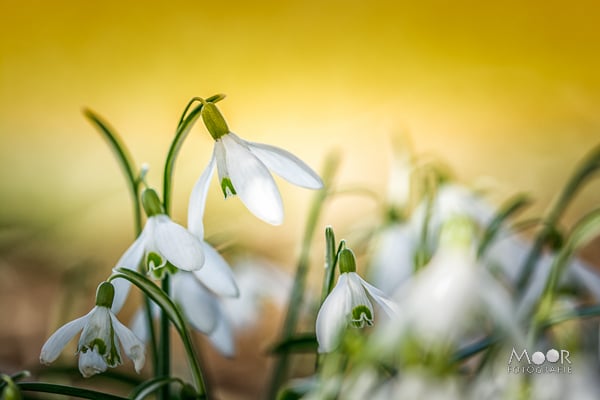 Fotografielessen uit het verleden