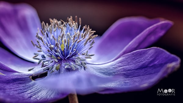 Fotografielessen uit het verleden