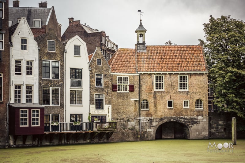 fotowandeling in Rotterdam Delfshaven