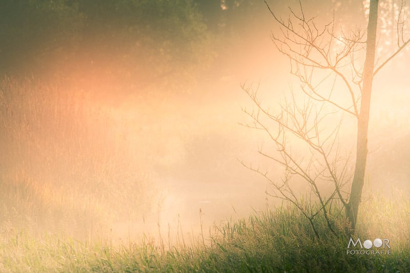 Het geheim van fotograferen in het Gouden Uur