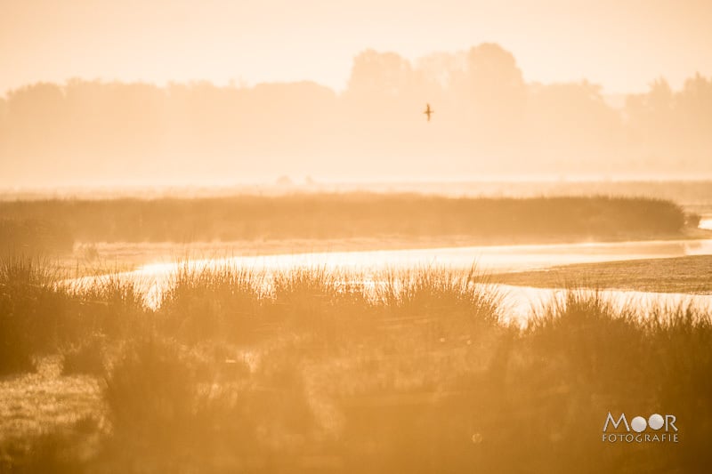 Het geheim van fotograferen in het Gouden Uur