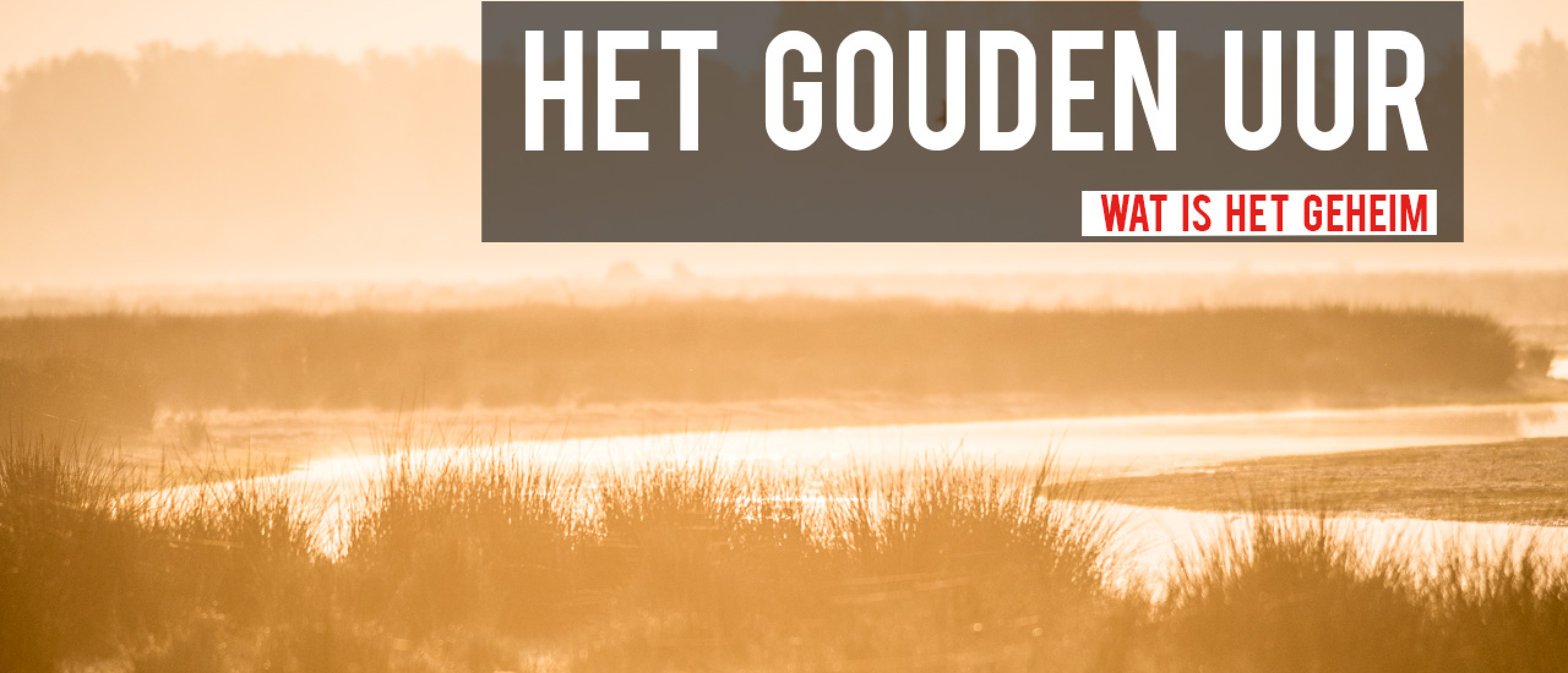 Het geheim van het Gouden Uur