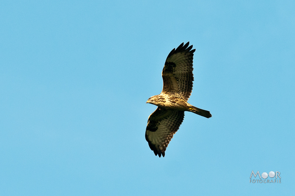 10 Goede Voornemens voor elke Fotograaf