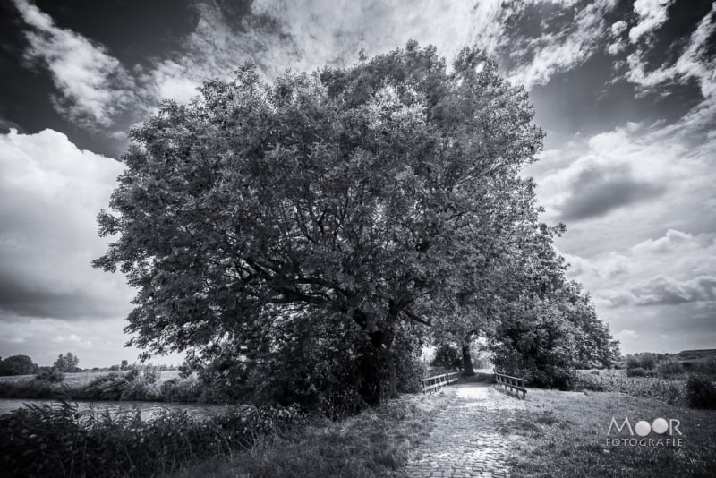 Haarscherpe foto's zonder statief: tips voor beginners