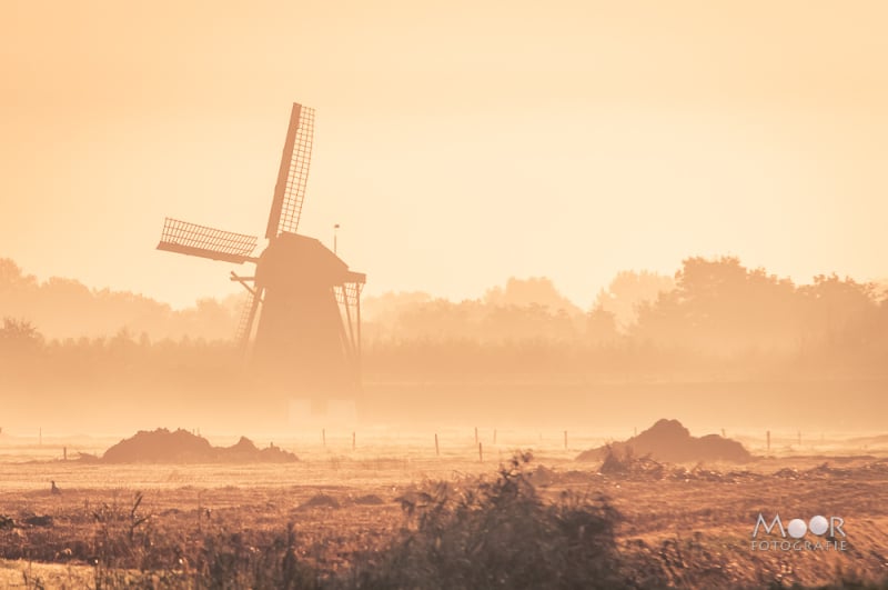 Herfstfotografie: Waarom Licht Belangrijker is dan Locatie voor de Perfecte Foto