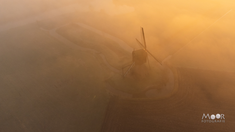 herfstfotografie tips voor kleurrijke en creatieve foto's