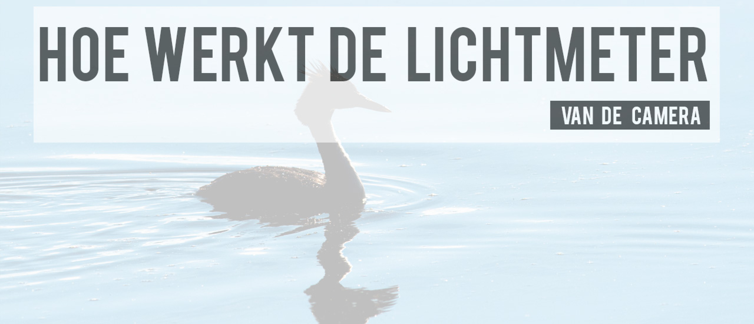 Hoe werkt de lichtmeter van de camera