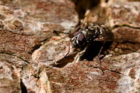 Impressie Workshop Herfstfotografie Mastbos Breda