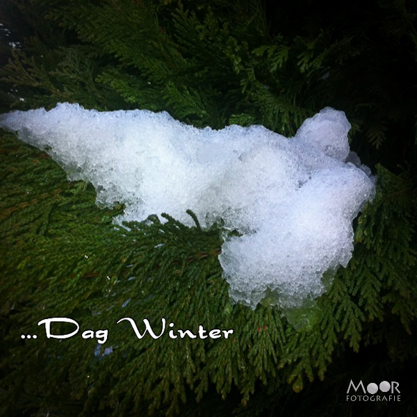 iPhonografie iPhone dag winter