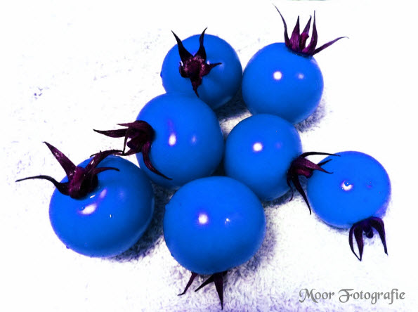 iPhonografie iPhone Foto Blauwe Snoep Tomaten